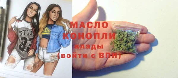 гидра Богородск