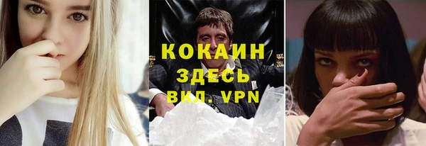 гидра Богородск