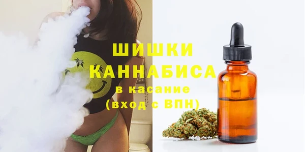 mdpv Богданович
