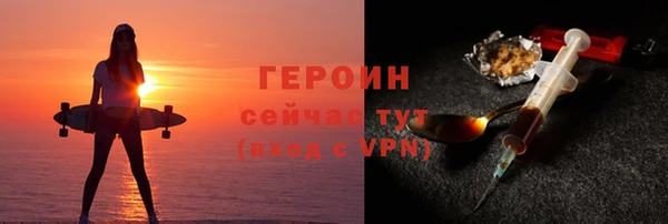 гидра Богородск
