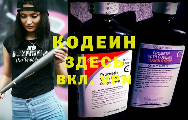 гидра Богородск