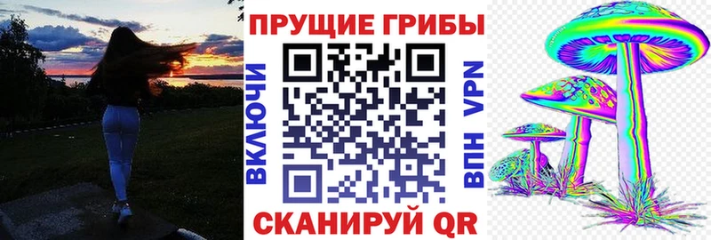 площадка официальный сайт  Великий Устюг  Галлюциногенные грибы Magic Shrooms 